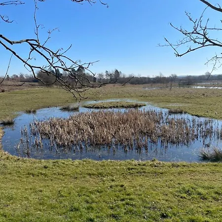 I Skøn Stenstrup